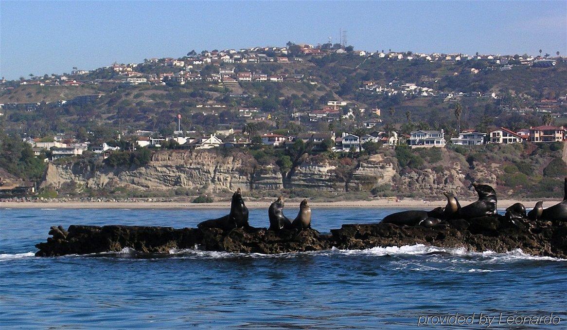 Holiday Inn Express San Clemente N - Beach Area, An Ihg Hotel Экстерьер фото